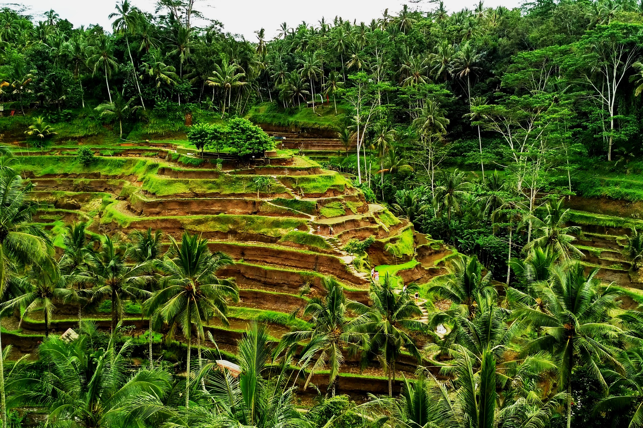 С вылетом из Санкт-Петербурга и Москвы
